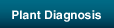 Plant Diagnosis