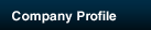 Company Profile