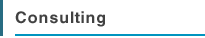 Consulting